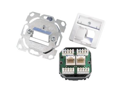 TELEGAERTNER UPDose Cat6/Cl.E double 2xRJ45 alpinwhite AMJ45 J00020A0393