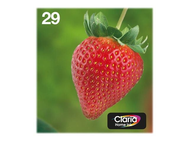 EPSON Multipack 4-Colours 29 EasyMail